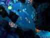 analisis-rayman-origins-imagenes-04