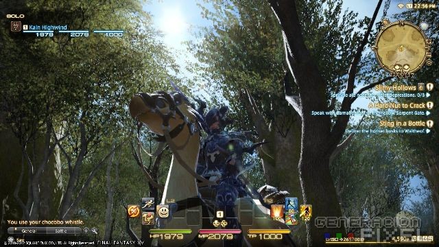 final-fantasy-XIV-img-2