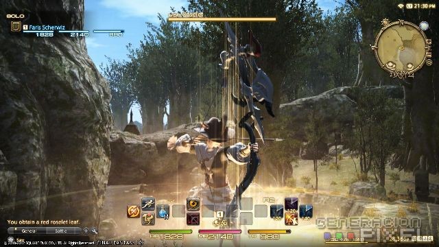 final-fantasy-XIV-img-4