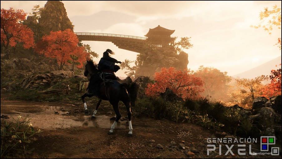 Rise of the Ronin
