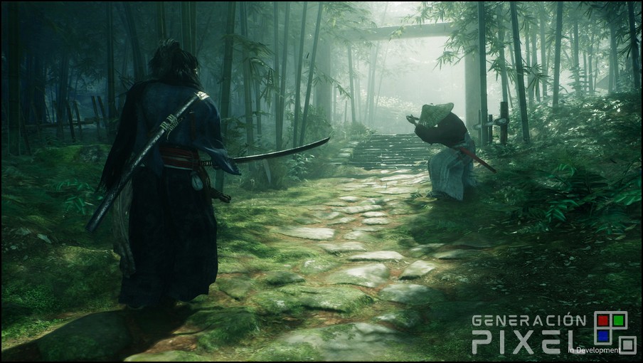 Rise of the Ronin