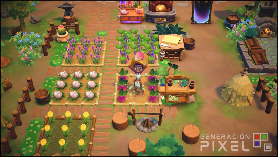 Análisis de Fae Farm