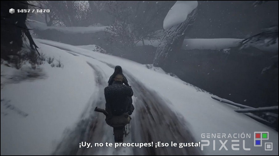 Análisis de Indika