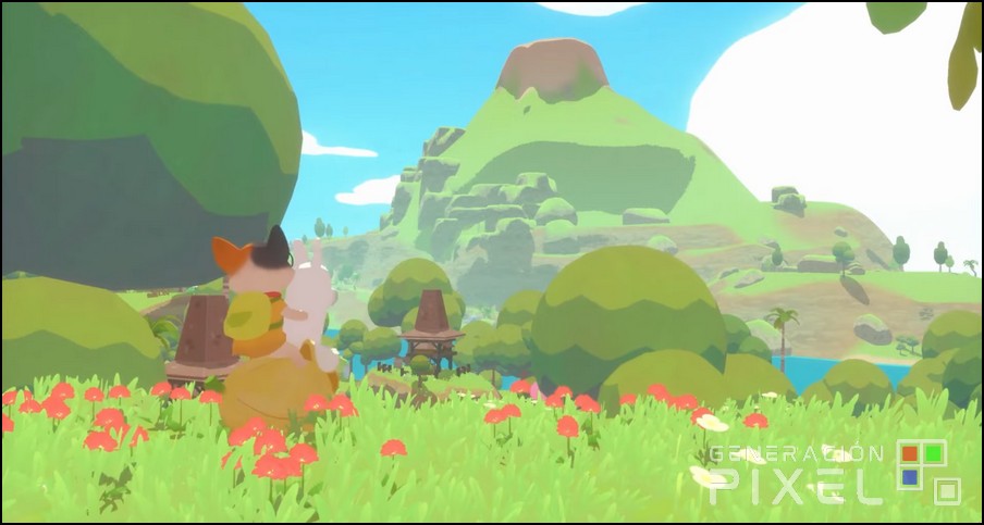 Análisis de Petit Island