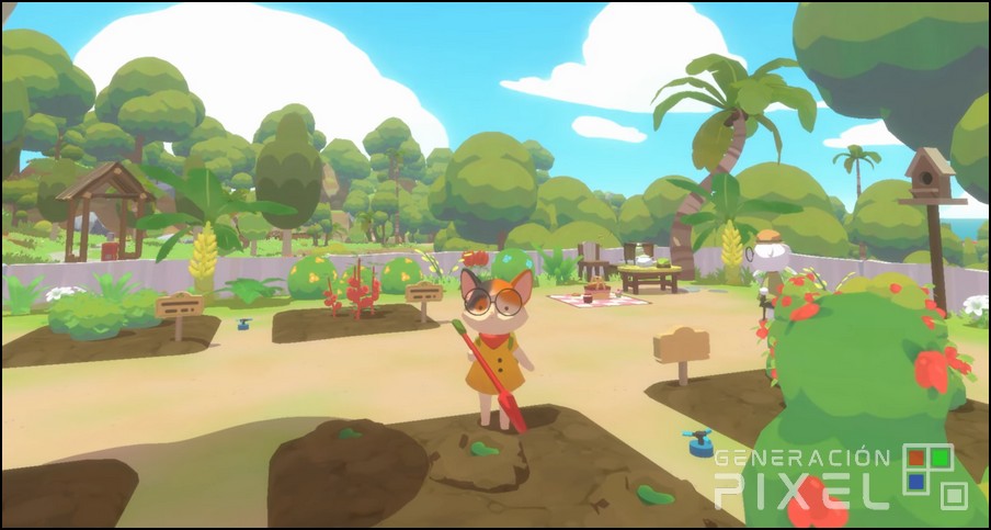 Análisis de Petit Island